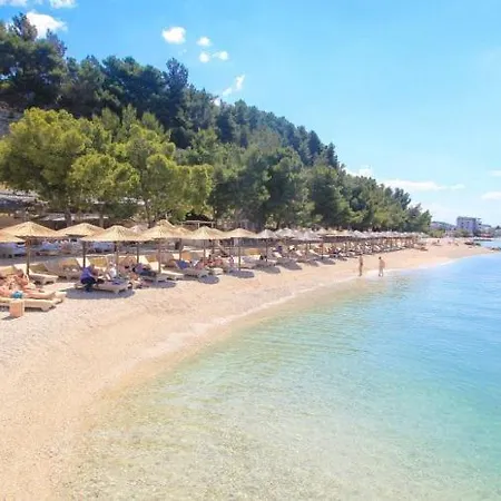 Apartment Luxury Shine&roze With Sea View&parking Near